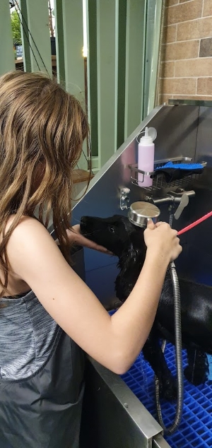 Isabel giving Benji a bath
