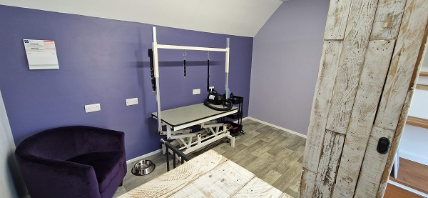 Salon Grooming Area